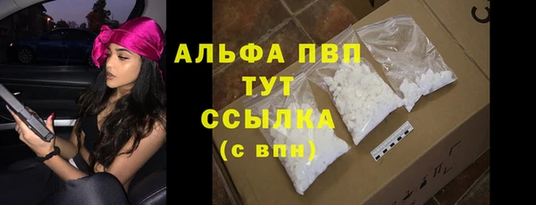 тгк Белокуриха